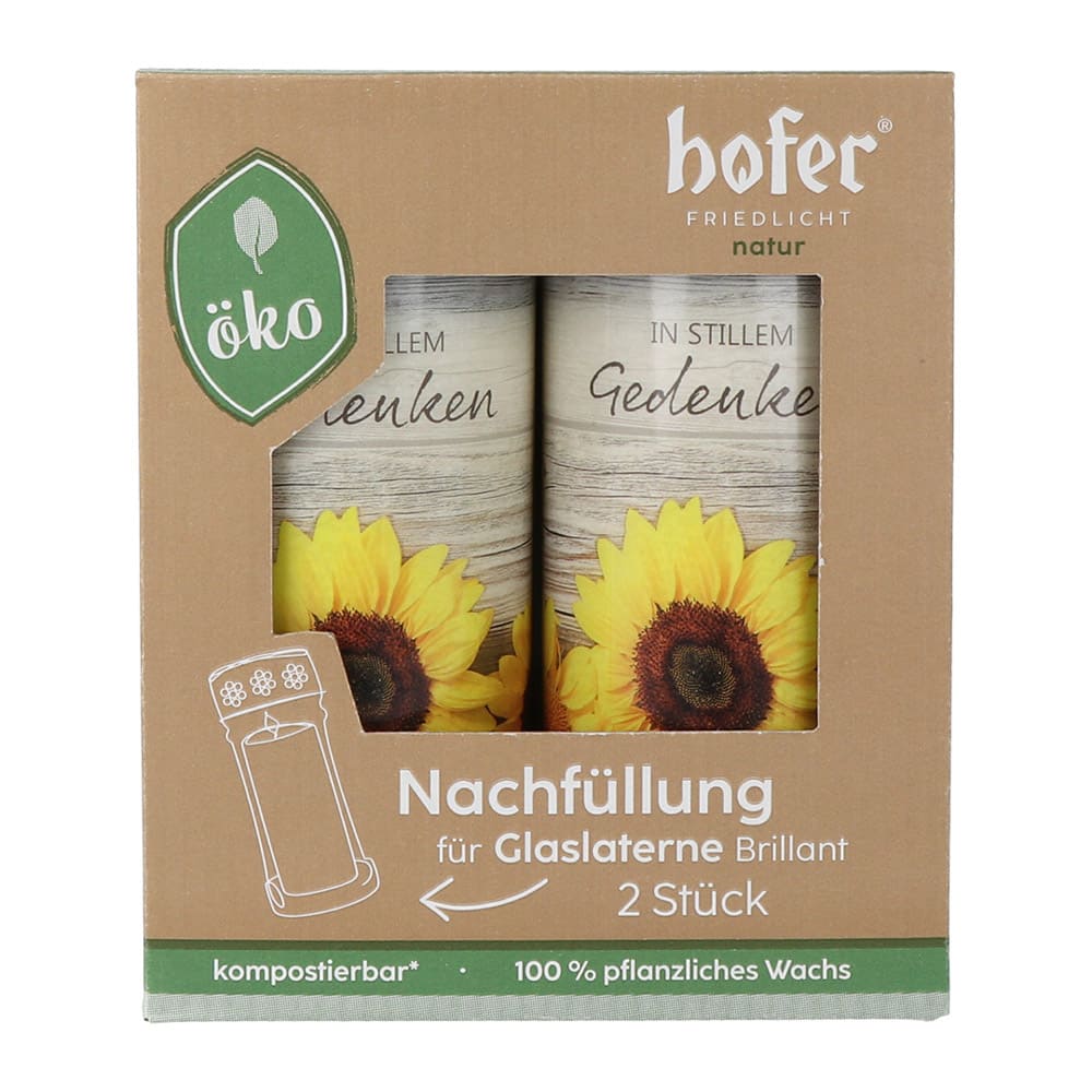 Nachfüllung für Hofer Natur Glaslaterne Brilliant 2er, SONNENBLUME