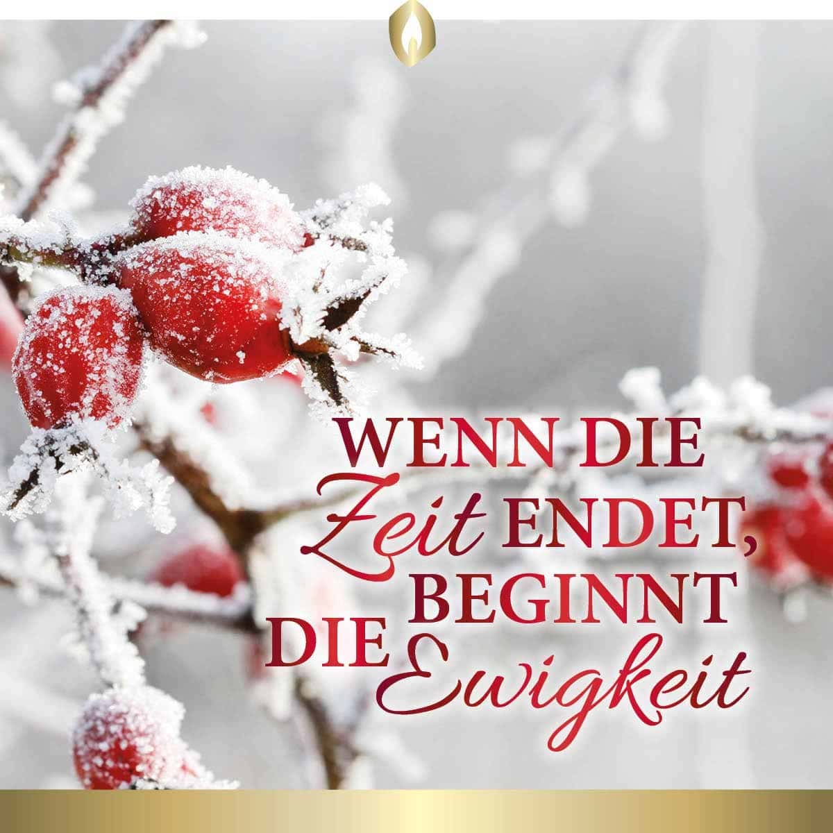 Etikett Hofer Premium 7 Tage Grabkerze “Stille Ewigkeit“ transparent