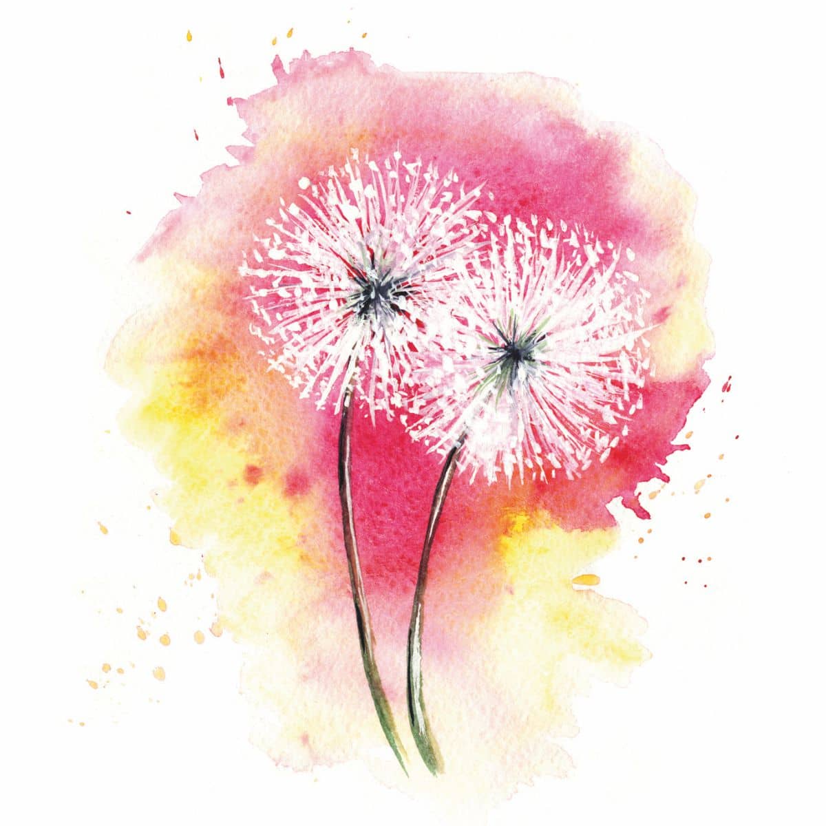 Motiv Pusteblume au buntem Aquarell