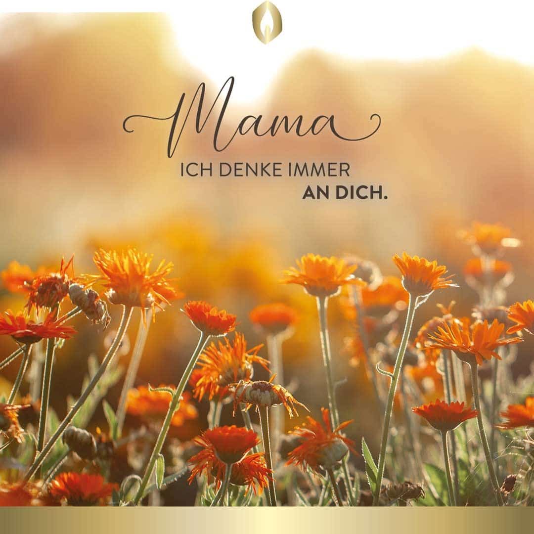 Etikett Hofer Premium 5 Tage Grabkerze, MAMA
