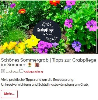 BLOG_DIY-zauberhafte-feder-kerzen.jpg