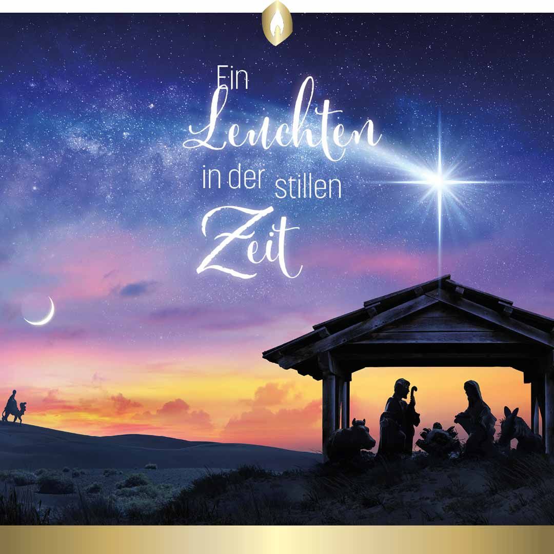 Etikett Hofer Premium 7 Tage Grabkerze, STERN VON BETHLEHEM