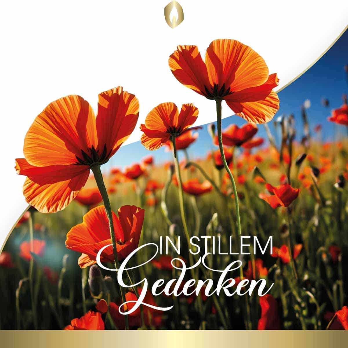 Etikett Hofer Premium 7 Tage Grabkerze, MOHNBLUMENFELD