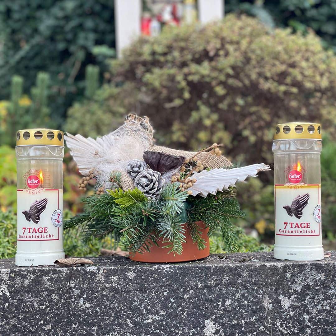 Hofer Premium 7 Tage Garantielicht mit Deckel, transparent Friedhof