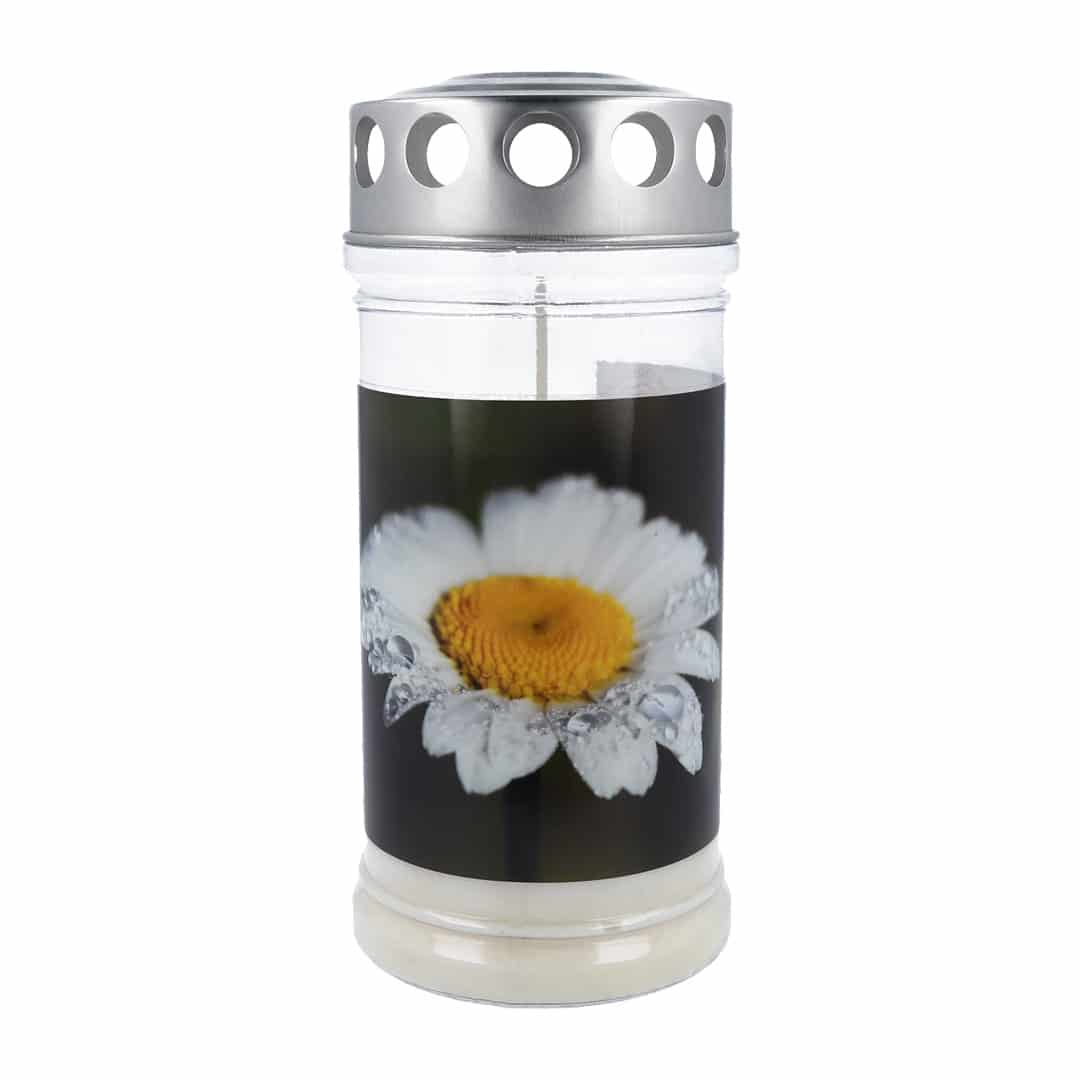 Hofer Premium 4 Tage Grabkerze, MARGERITE Hofer Premium 4 Tage Grabkerze, MARGERITE