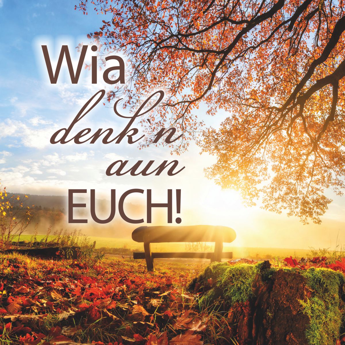Motiv sonnige Herbstlandschaft mit Text "Wia denk`n aun euch!"