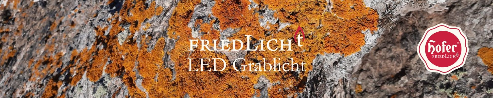 Header LED Grablicht Header LED Grablicht