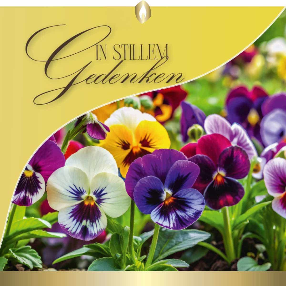 Etikett Hofer Premium 7 Tage Grabkerze, VIOLA