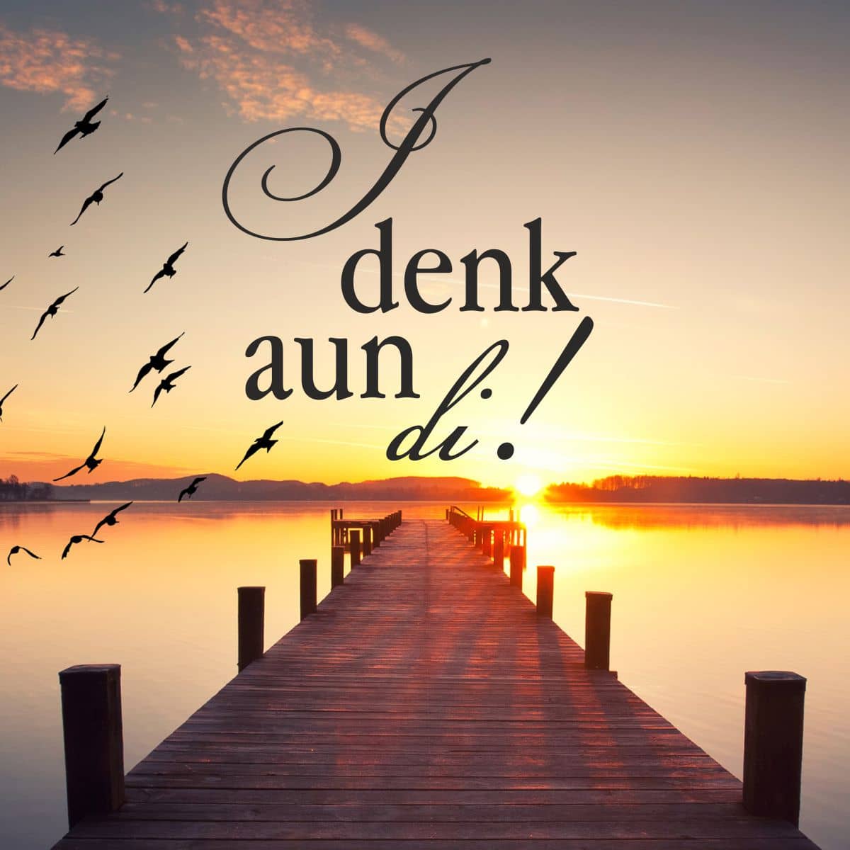 Motiv Steg auf See mit Sonnenuntergang und Vögeln mit Text "I denk aun di!"