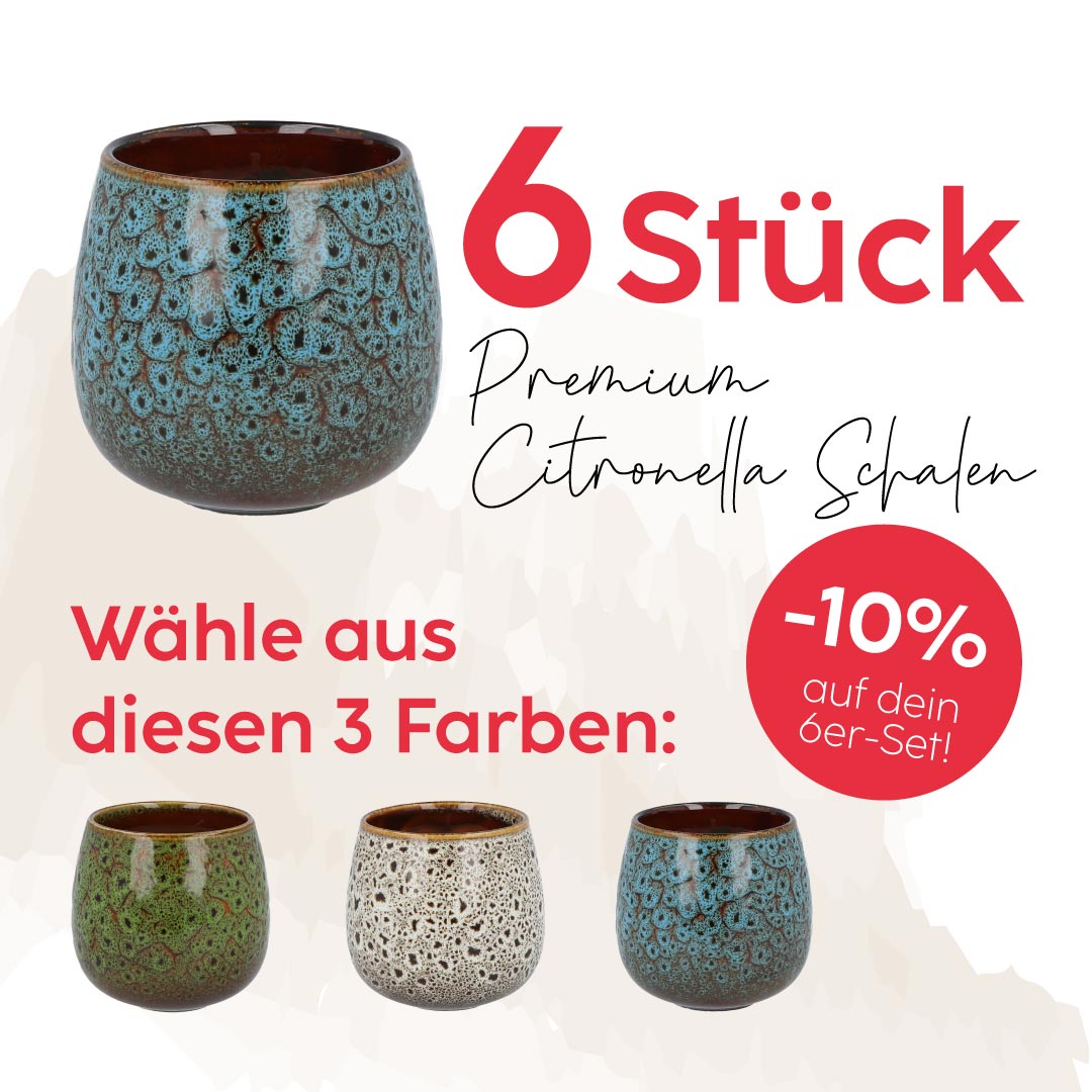 6er Set Premium Citronellaschalen - 10% sparen