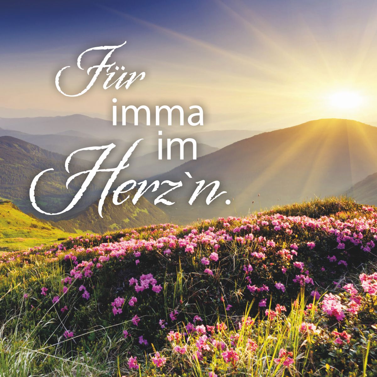Hofer Premium 4 Tage Grabkerze, FÜR IMMA IM HERZN Hofer Premium 4 Tage Grabkerze, FÜR IMMA IM HERZN