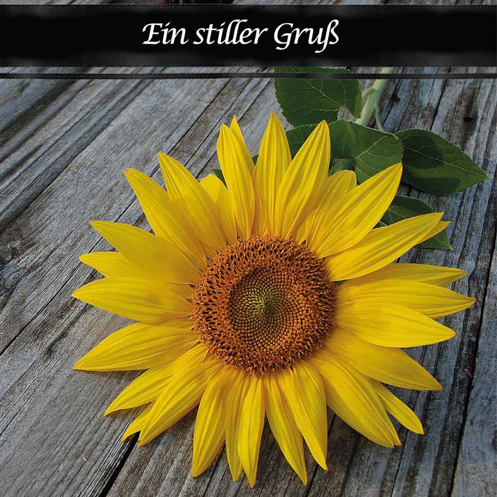 Etikett 7 Tage Grabkerze "Ein stiller Gruß Sonnenblume"