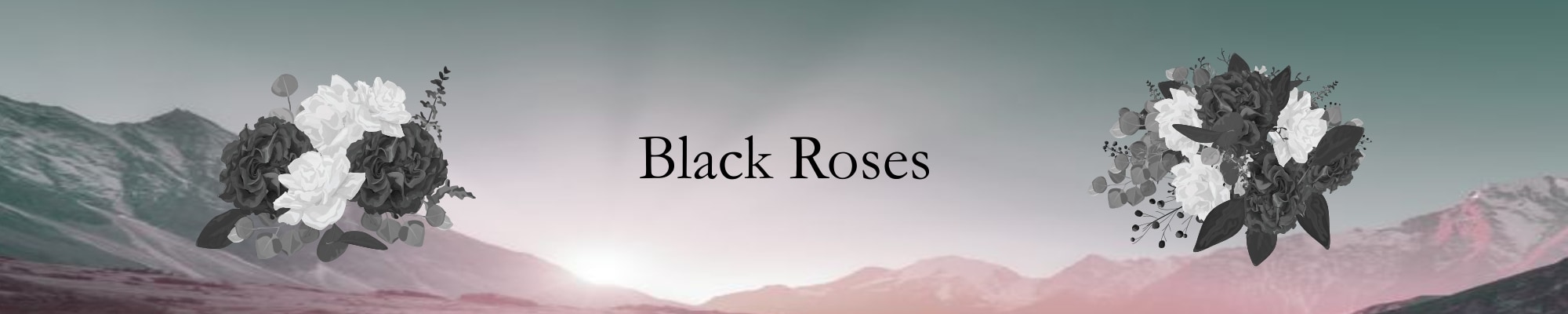 Header Black Roses