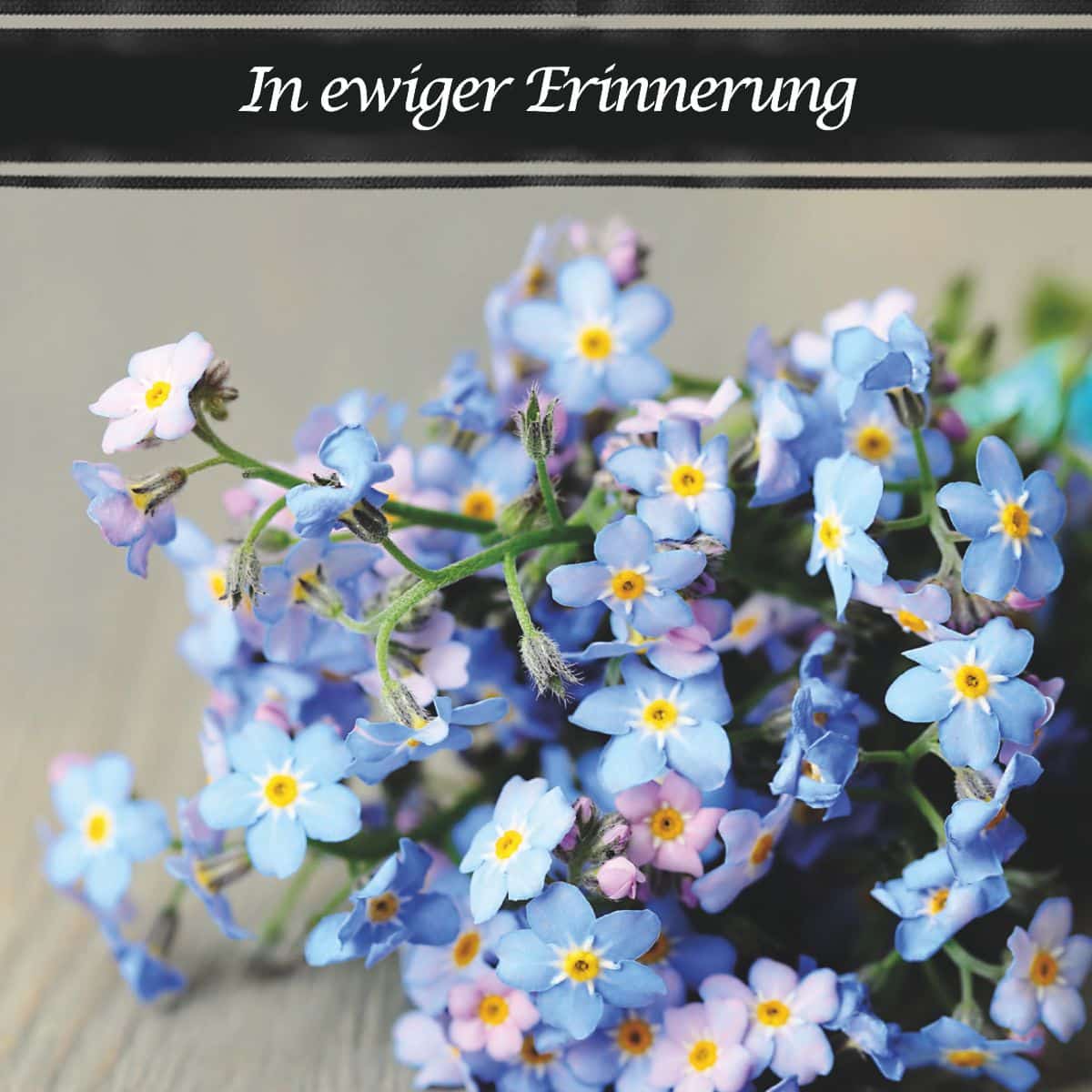 Motiv Foto Vergissmeinnicht Blumenstrauß mit Text "In ewiger Erinnerung"