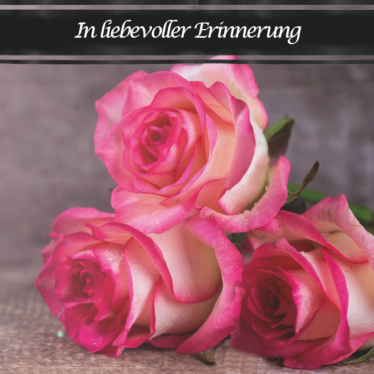 Motiv Foto drei rosa Rosen mit Text "In liebevoller Erinnerung"