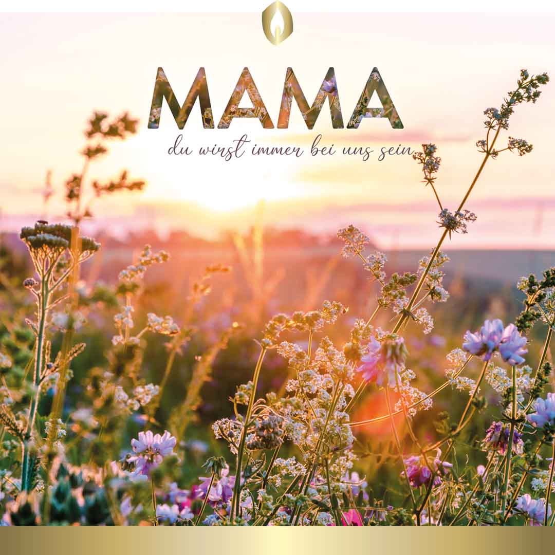 Hofer Premium 7 Tage Motivlicht „Mama für immer“ transparent Hofer Premium 7 Tage Motivlicht „Mama für immer“ transparent