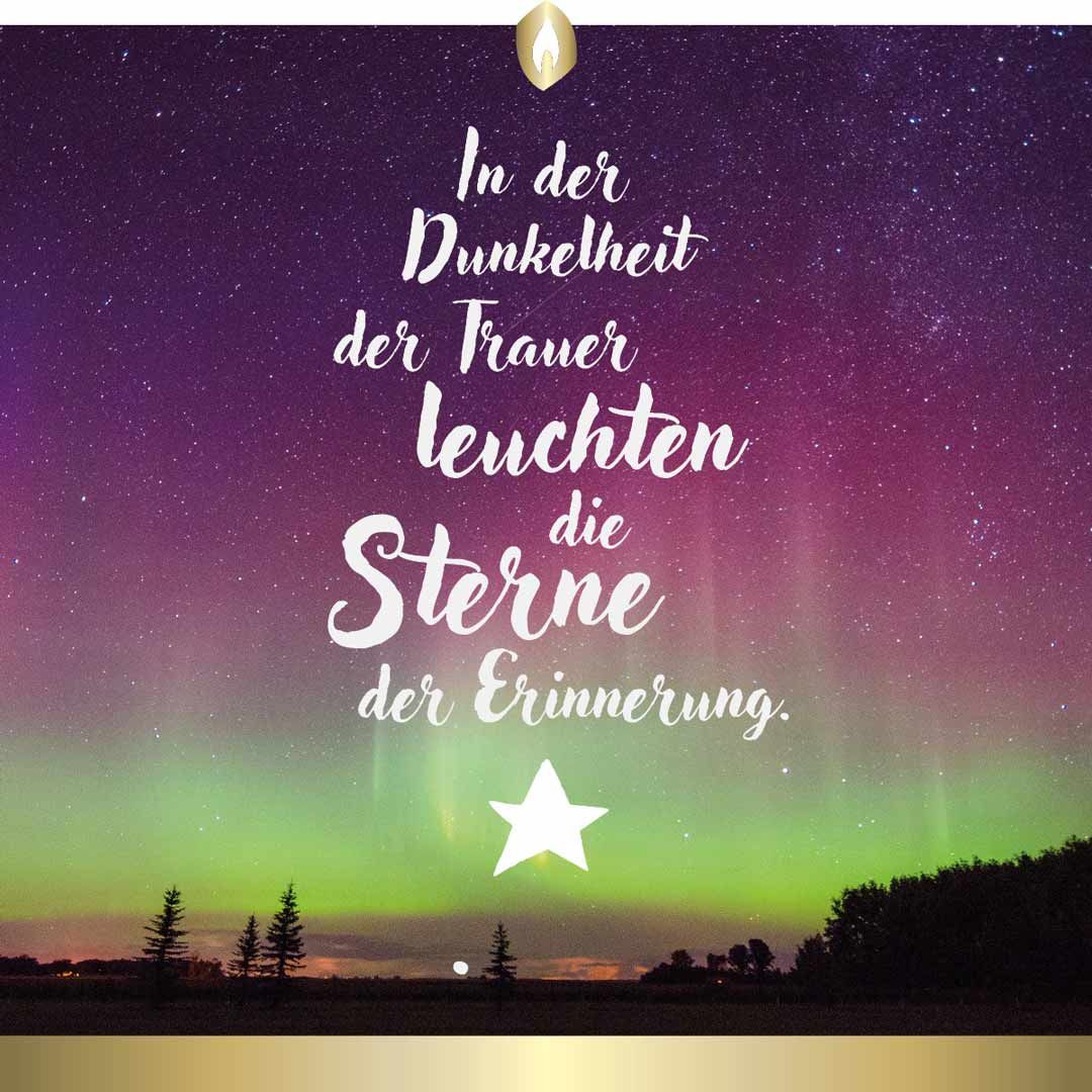 Etikett Hofer Premium 7 Tage Grabkerze, STERNE DER DUNKELHEIT