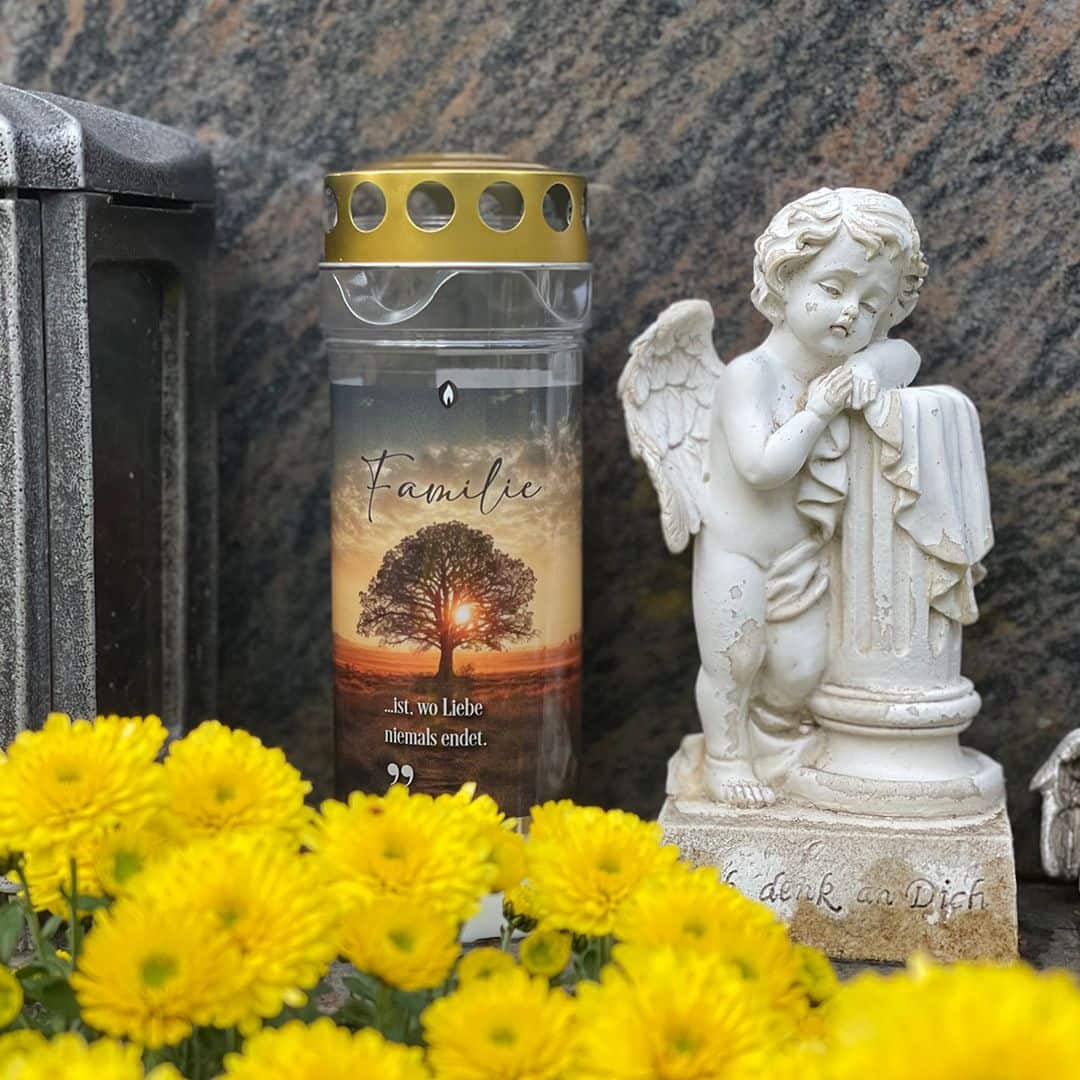 Hofer Premium 7 Tage Grabkerze, FAMILIE Friedhof Hofer Premium 7 Tage Grabkerze, FAMILIE Friedhof