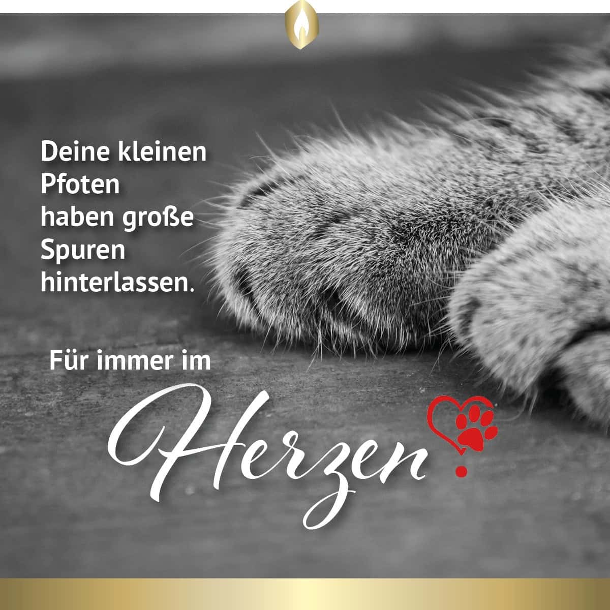 Etikett Hofer Premium 4 Tage Grabkerze, KATZE