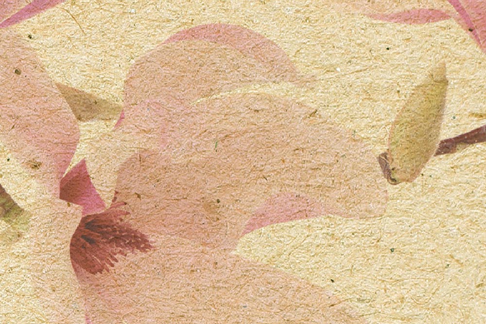 gemalte Magnolien auf braunem Papier
