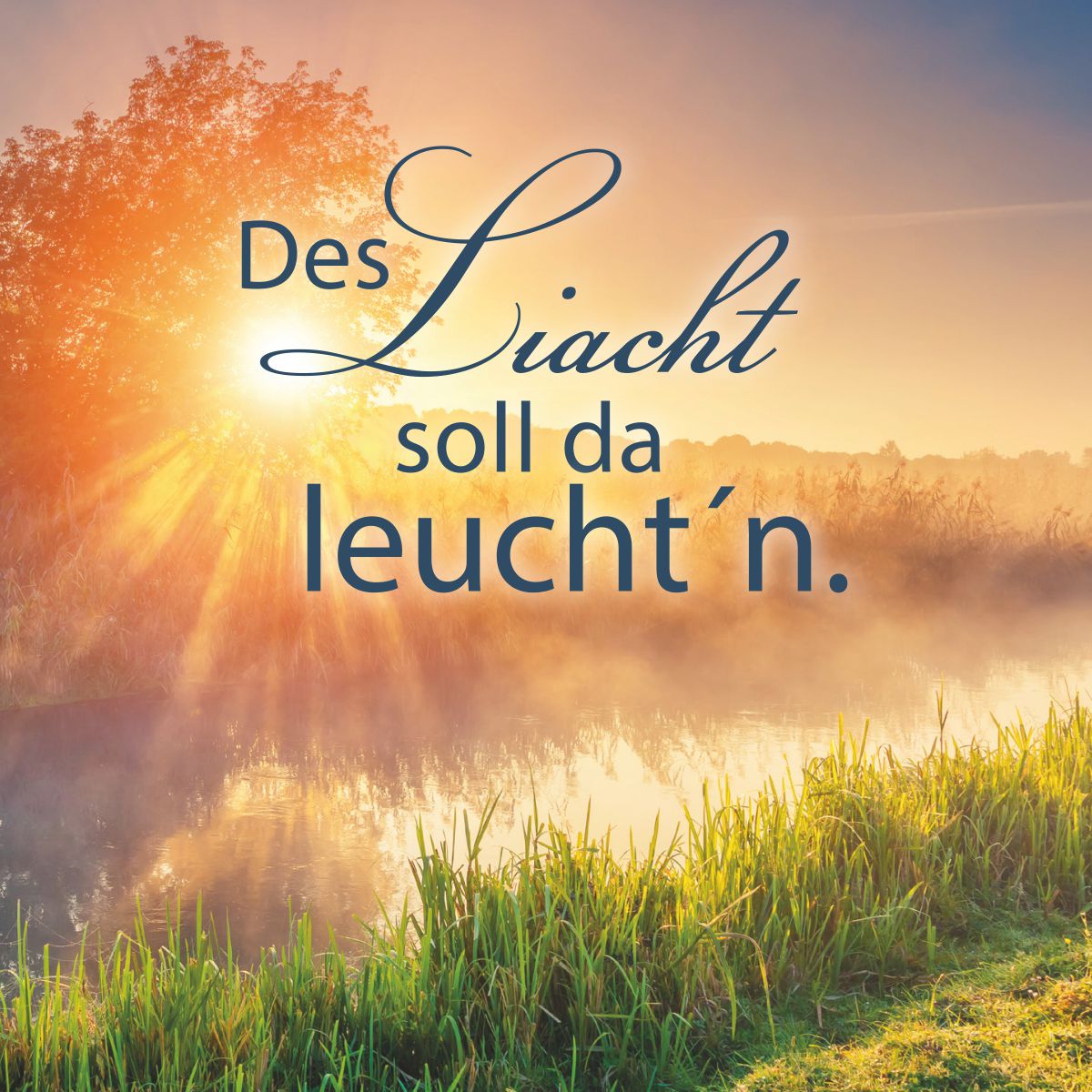 Motiv Sonnenuntergang hinter Baum und Bach mit Text "Des Liacht soll da leucht'n."
