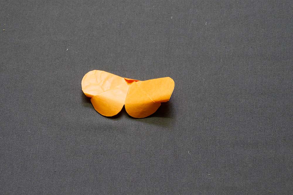 Schmetterlinge Origami Schritt 6