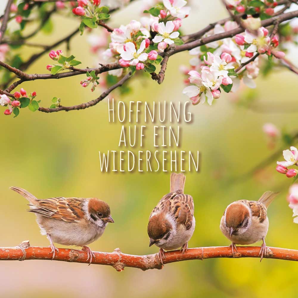 Hofer Premium 7 Tage Motivlicht, FRÜHLING