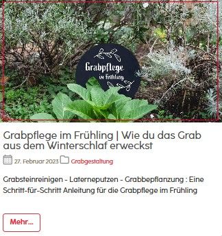 BLOG-Grabpflege-im-Frühling.jpg?ts=1748874607