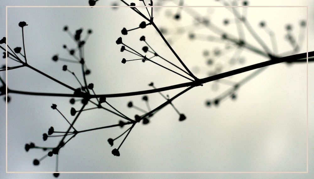 Die Mutter im Herzen behalten | Verbindung über den Tod hinaus Zweig