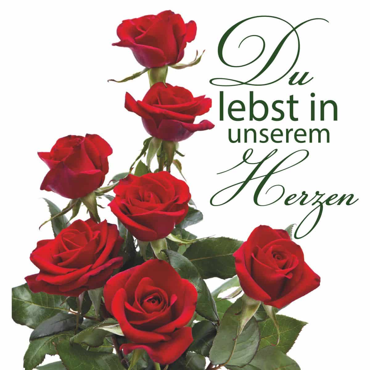 Hofer Premium 4 Tage Grabkerze, ROSE