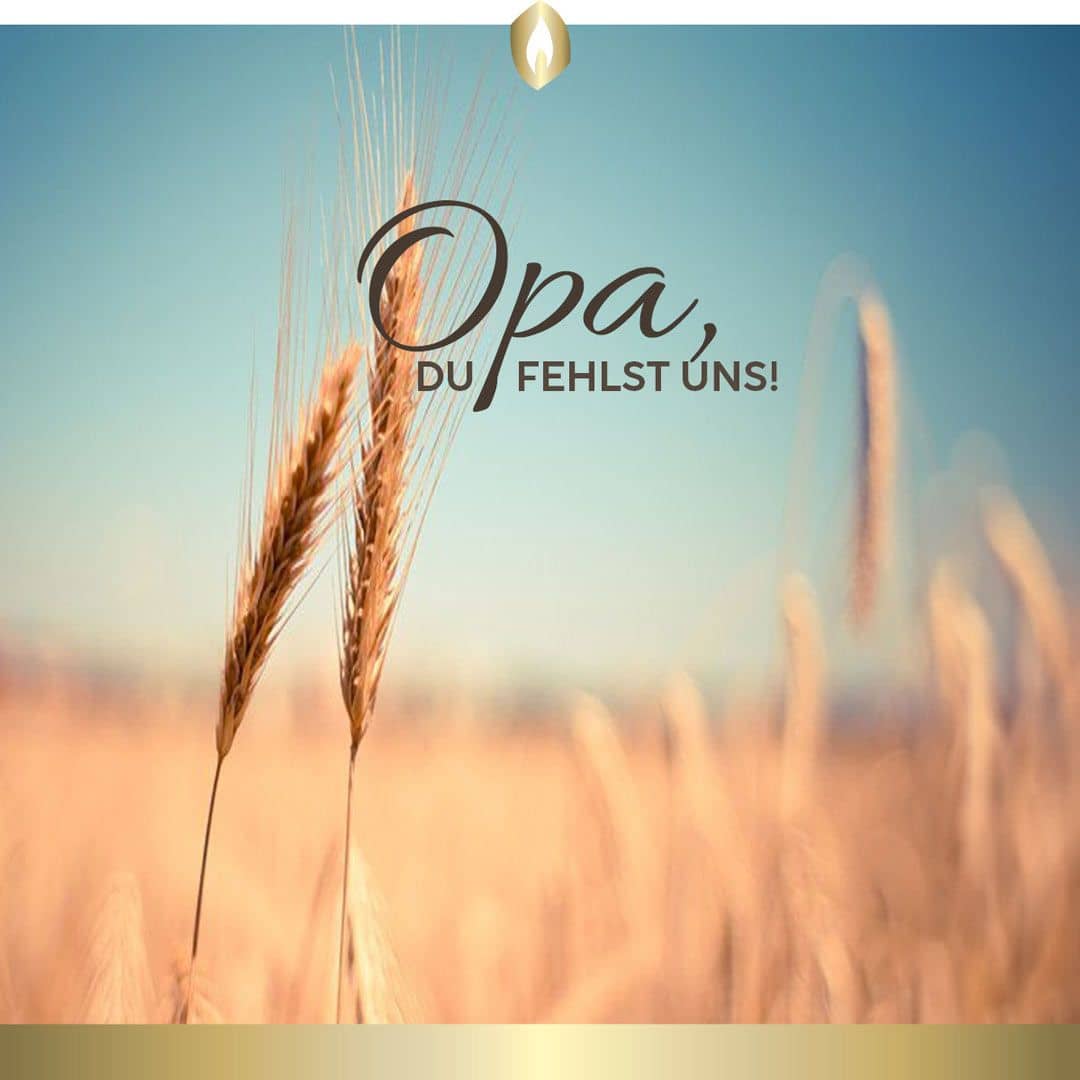 Etikett Hofer Premium 5 Tage Grabkerze, OPA