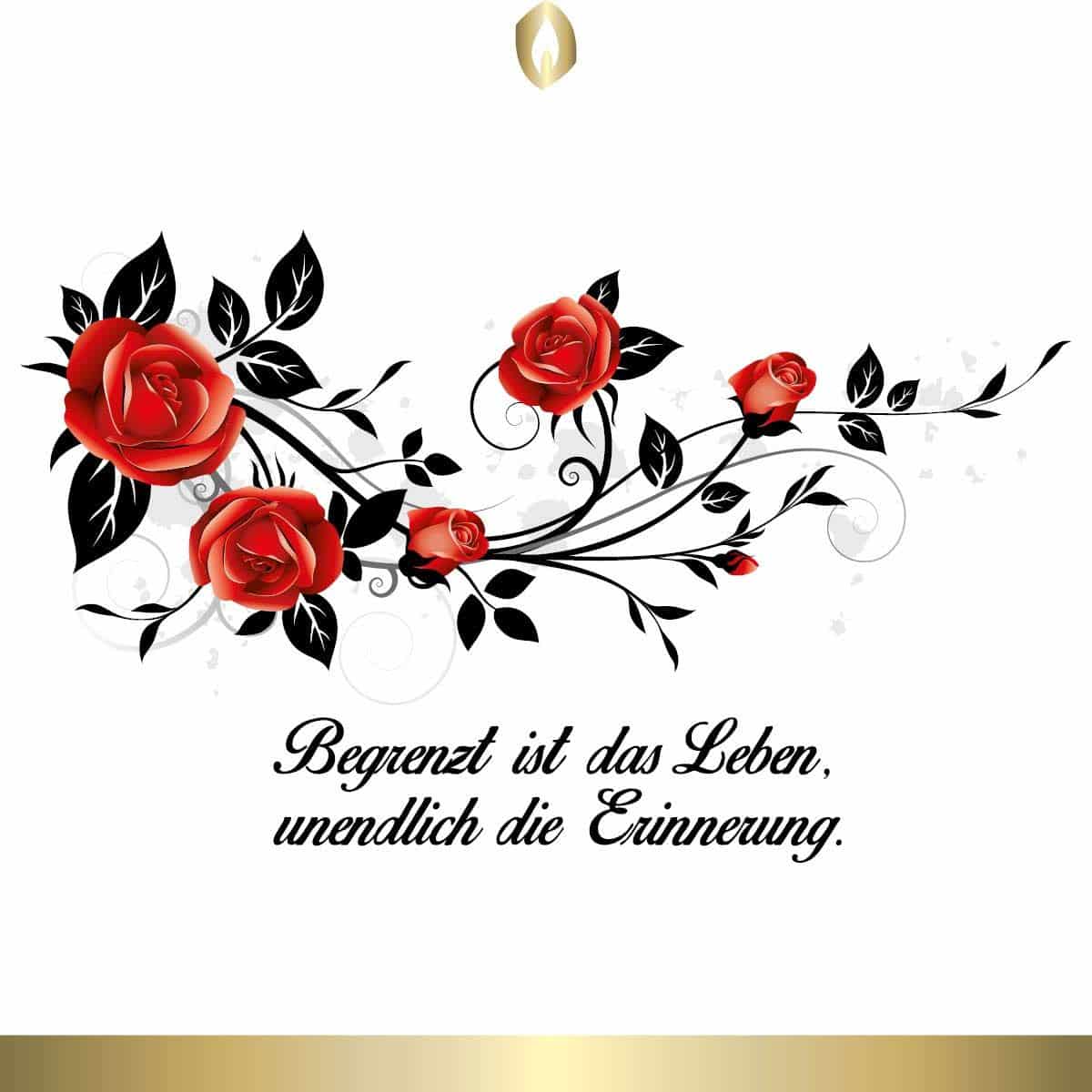 Etikett Hofer Premium 7 Tage Grabkerze Black, SORROW