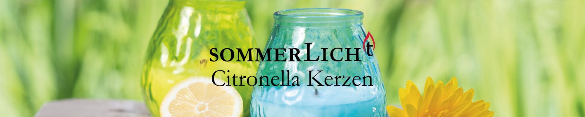 Header Citronella Kerzen Header Citronella Kerzen Hofer Bistro-Lichter