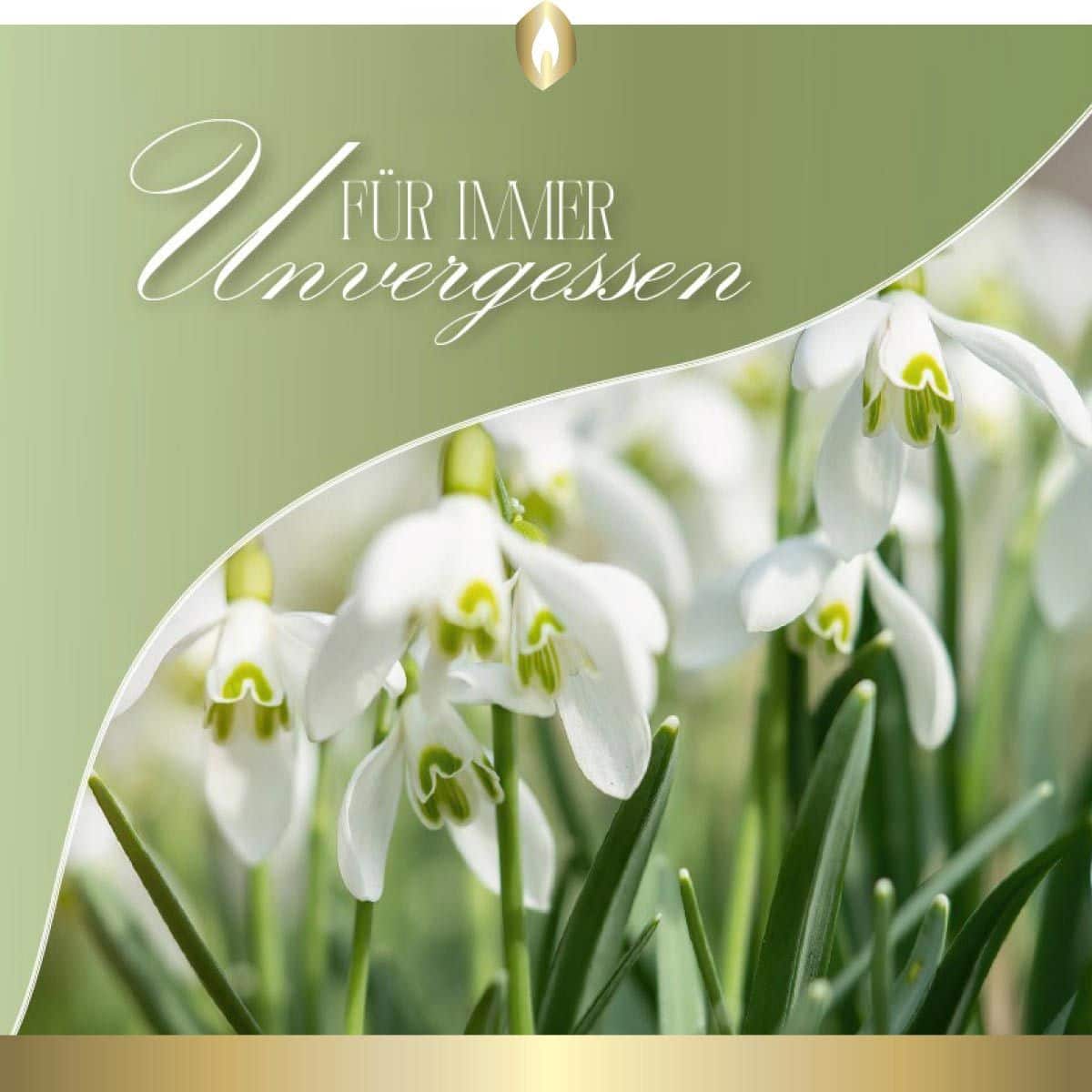 Etikett Hofer Premium 7 Tage Grabkerze, SCHNEEGLÖCKCHEN