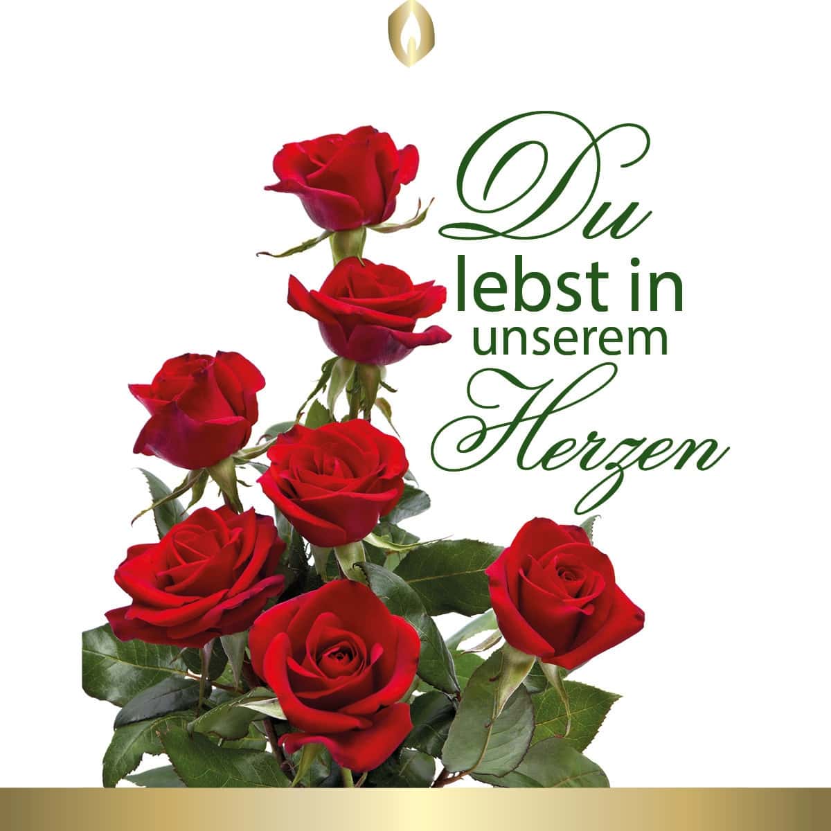 Etikett Hofer Premium 7 Tage Grabkerze, ROSE