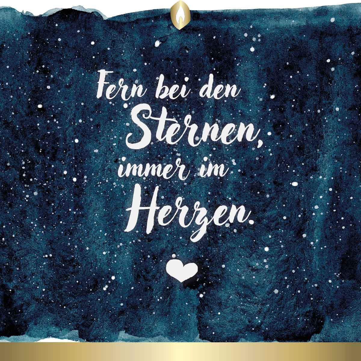 Hofer Premium 7 Tage Grabkerze, STERNENLICHT