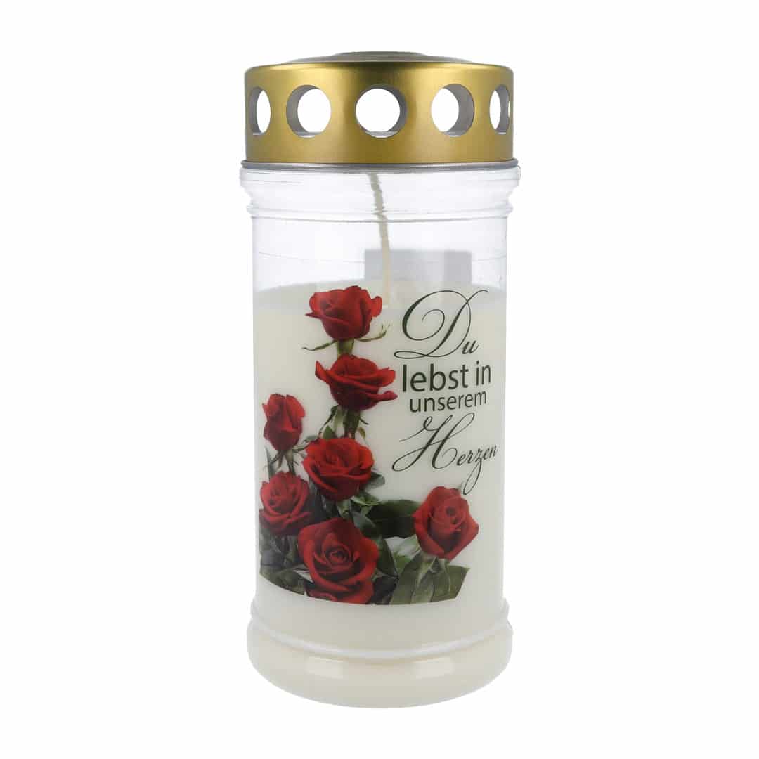 Hofer Premium 4 Tage Motivlicht ROSE, transparent