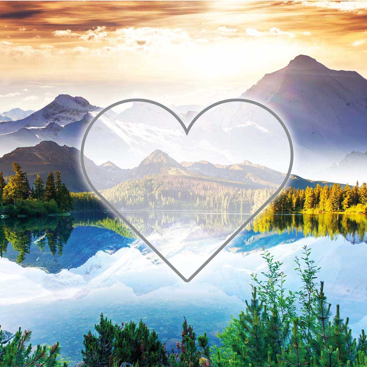Hofer Premium 7 Tage Grabkerze Herz, BERGSEE Hofer Premium 7 Tage Grabkerze Herz, BERGSEE