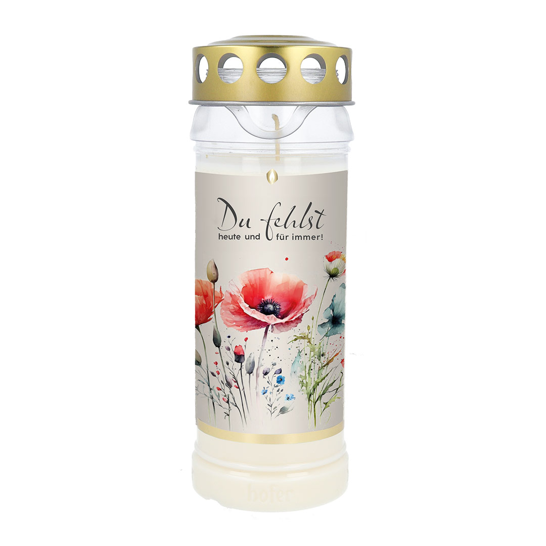 Hofer Premium 7 Tage Motivlicht "Du fehlst" transparent Hofer Premium 7 Tage Motivlicht "Du fehlst" transparent