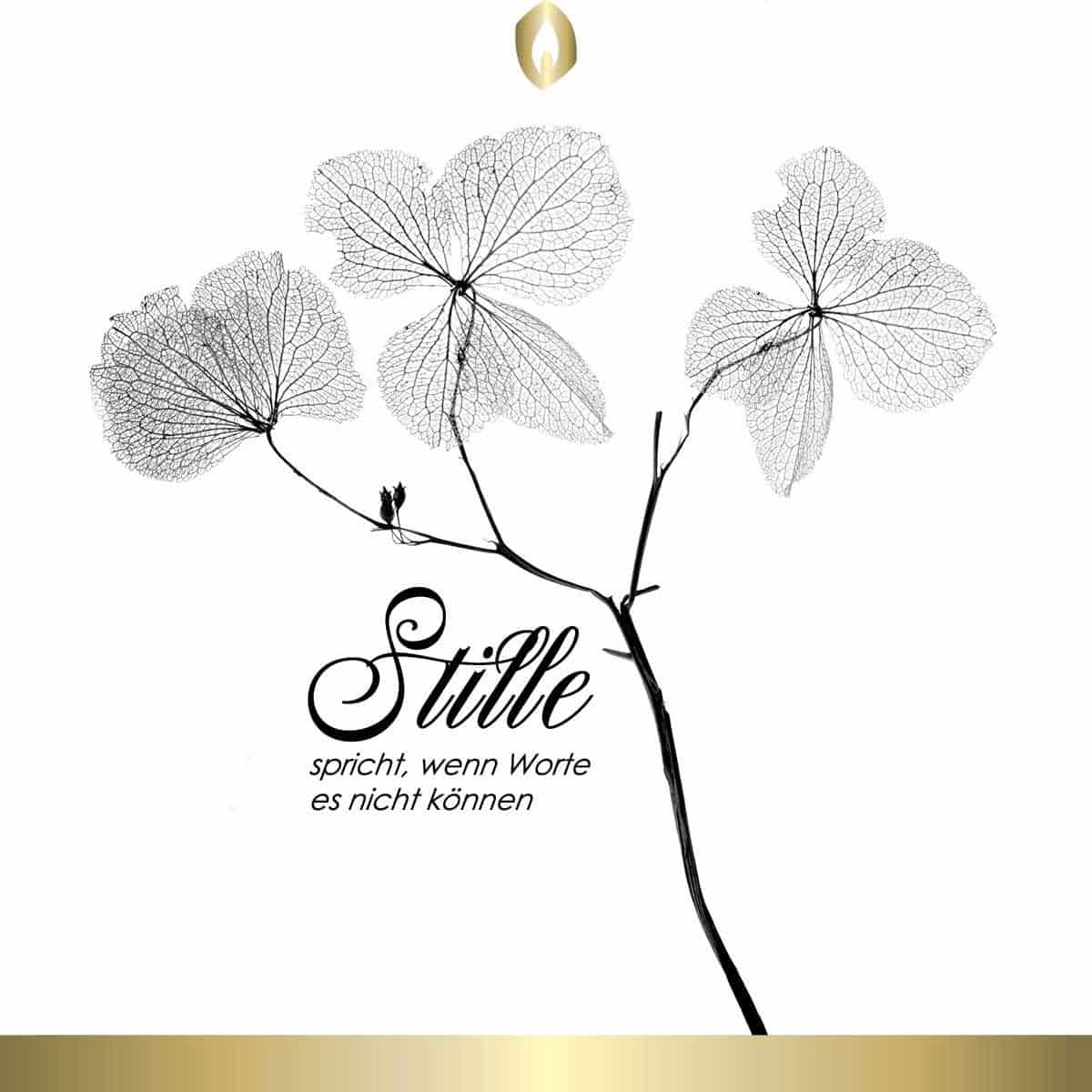 Etikett Hofer Premium 7 Tage Grabkerze Black, ORCHIDEE