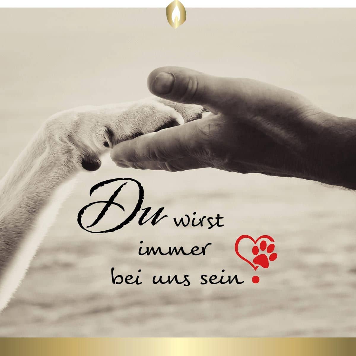 Etikett Hofer Premium 4 Tage Grabkerze, HUND