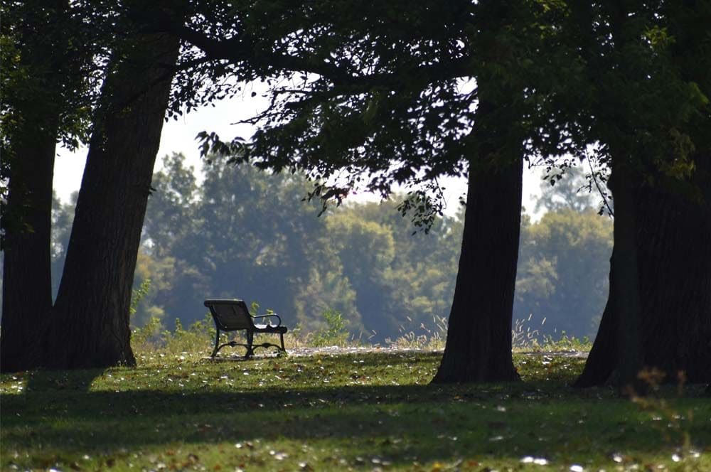 Parkbank_Lizenzfreies Stockfoto_unsplash.jpg