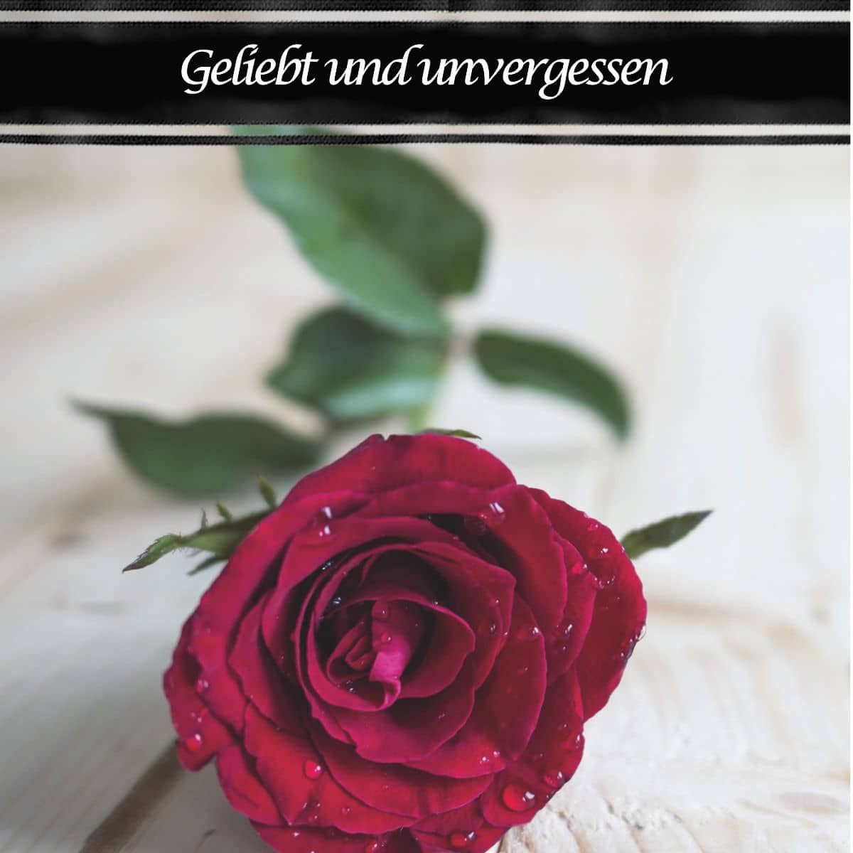 Motiv Foto rote Rose mit Text "Geliebt und unvergessen"