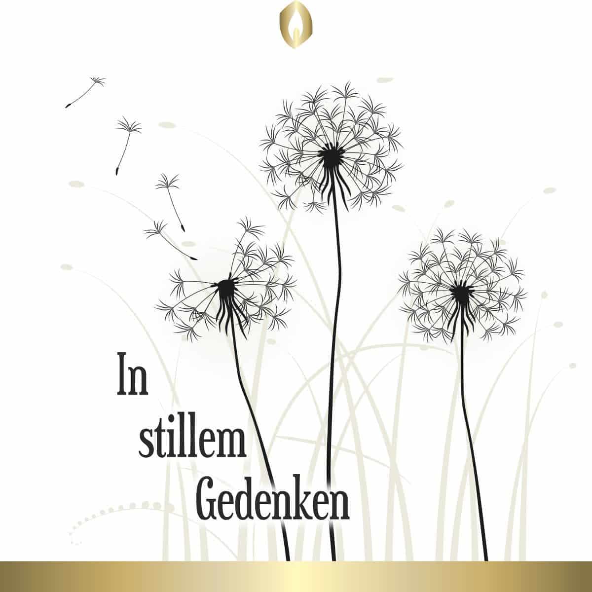 Etikett Hofer Premium 7 Tage Motivlicht Black FEELING