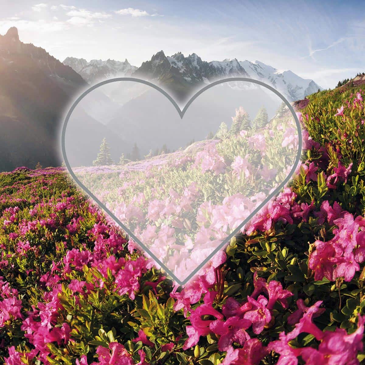Motiv Abbildung Herz auf Bergwiese mit rosa Blumen