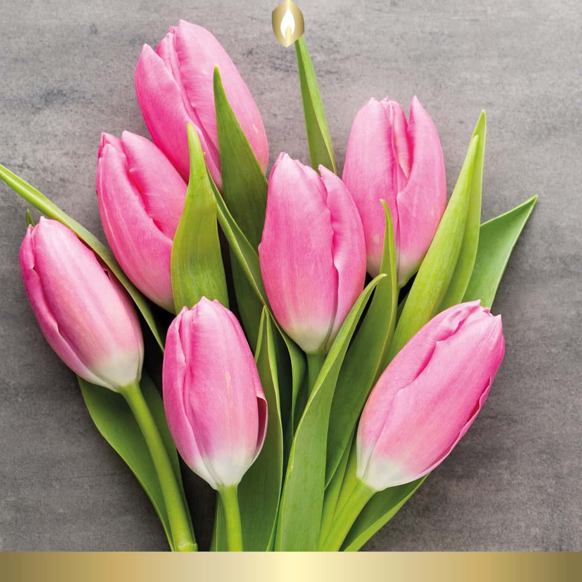 Etikett Hofer Premium 7 Tage Grabkerze, TULPENSTRAUSS