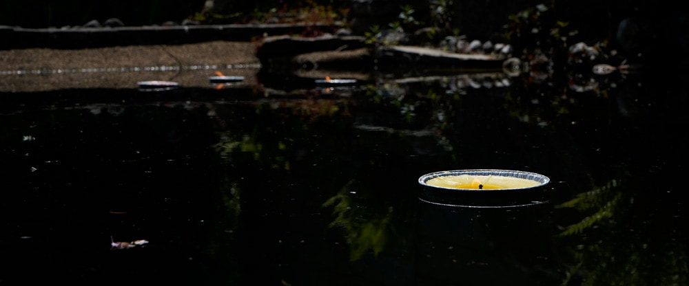 Schwimmkerze gelb in Badeteich