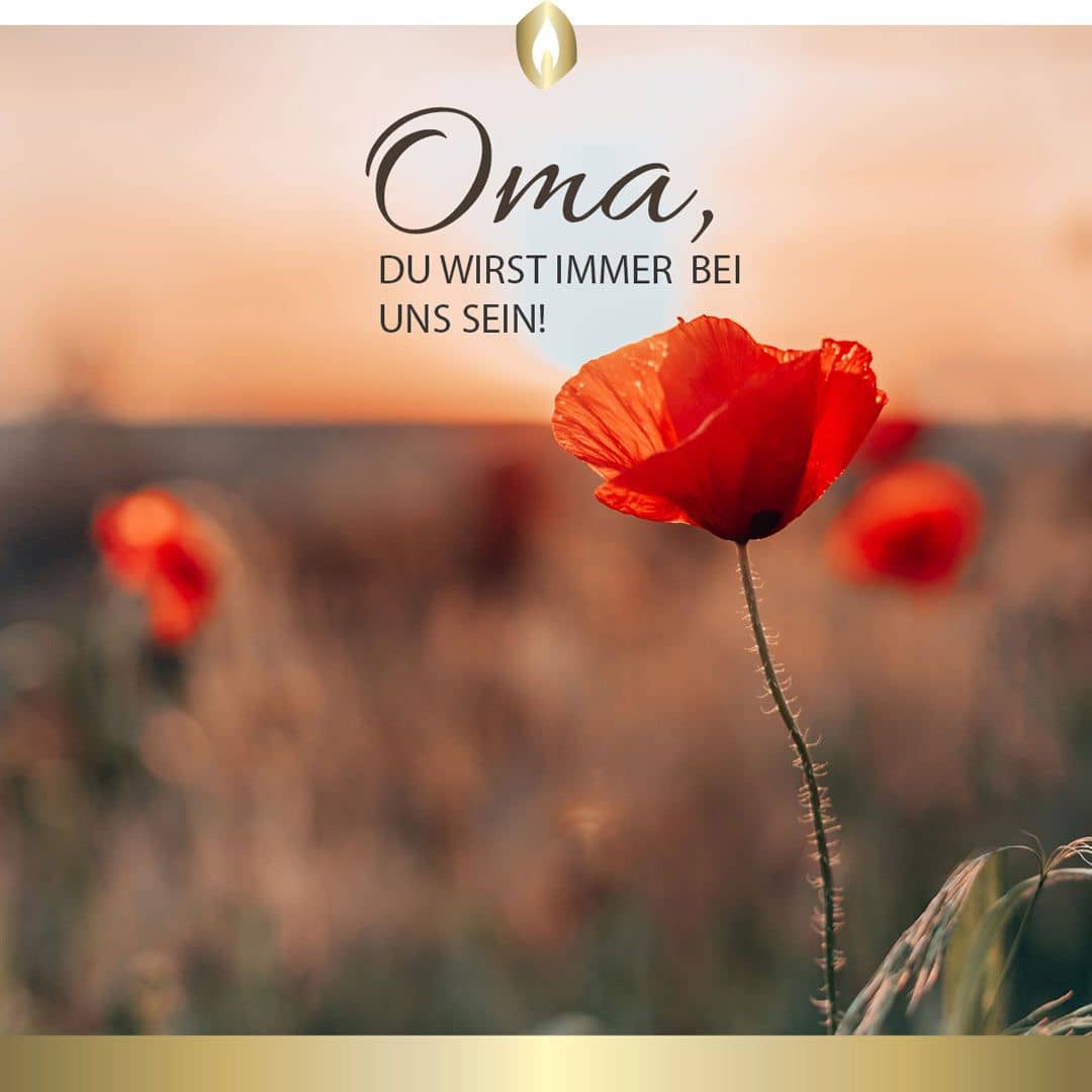 Etikett Hofer Premium 5 Tage Grabkerze, OMA