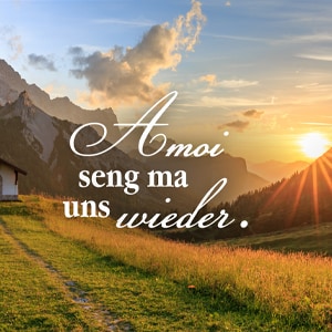 Hofer Premium 4 Tage Grabkerze, AMOI SENG MA UNS WIEDER W-14156-D000F000-E