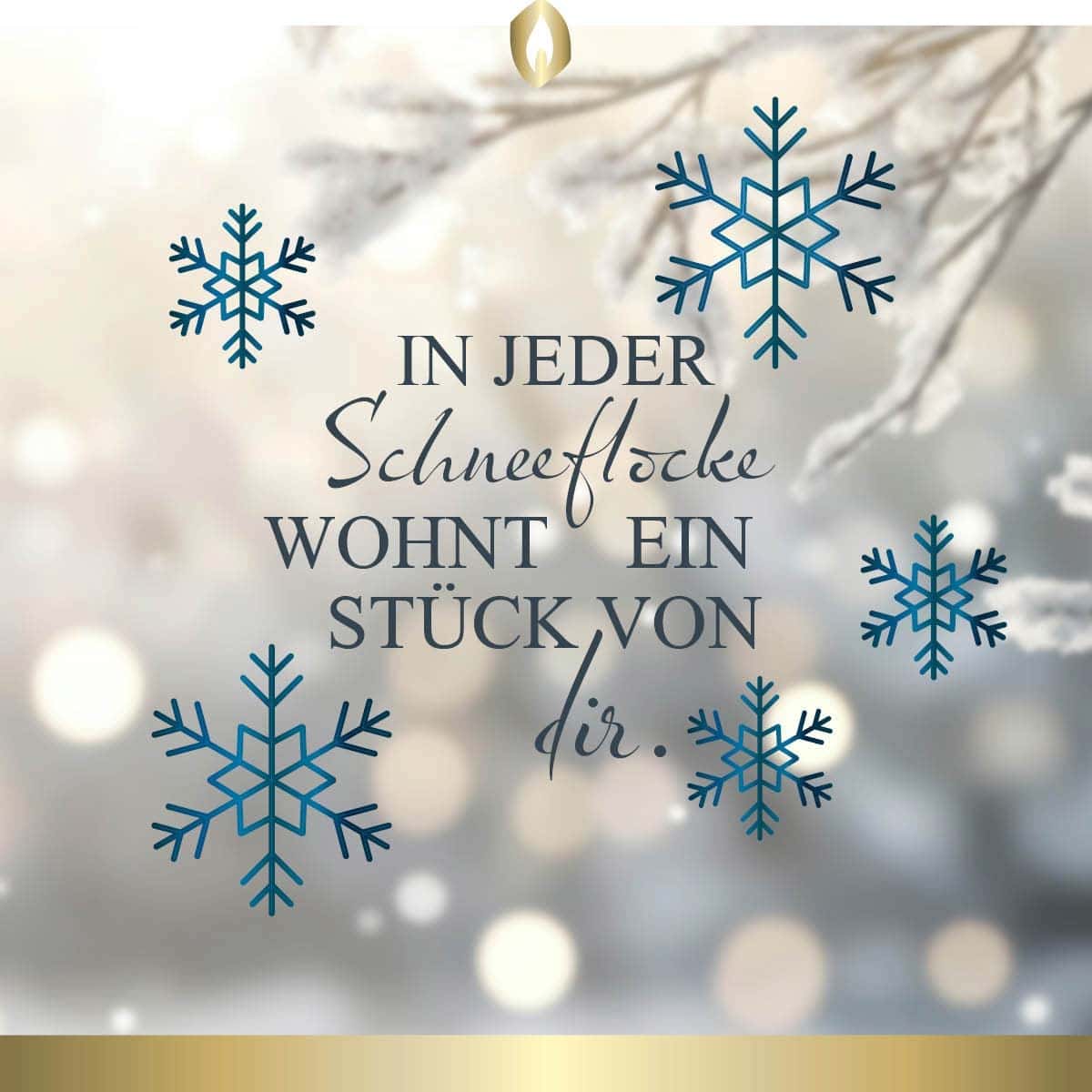 Etikett Hofer Premium 7 Tage Grabkerze “Schneeflocke“ transparent